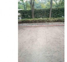 九江市青少年宮路面改造水穩(wěn)層攤鋪工程